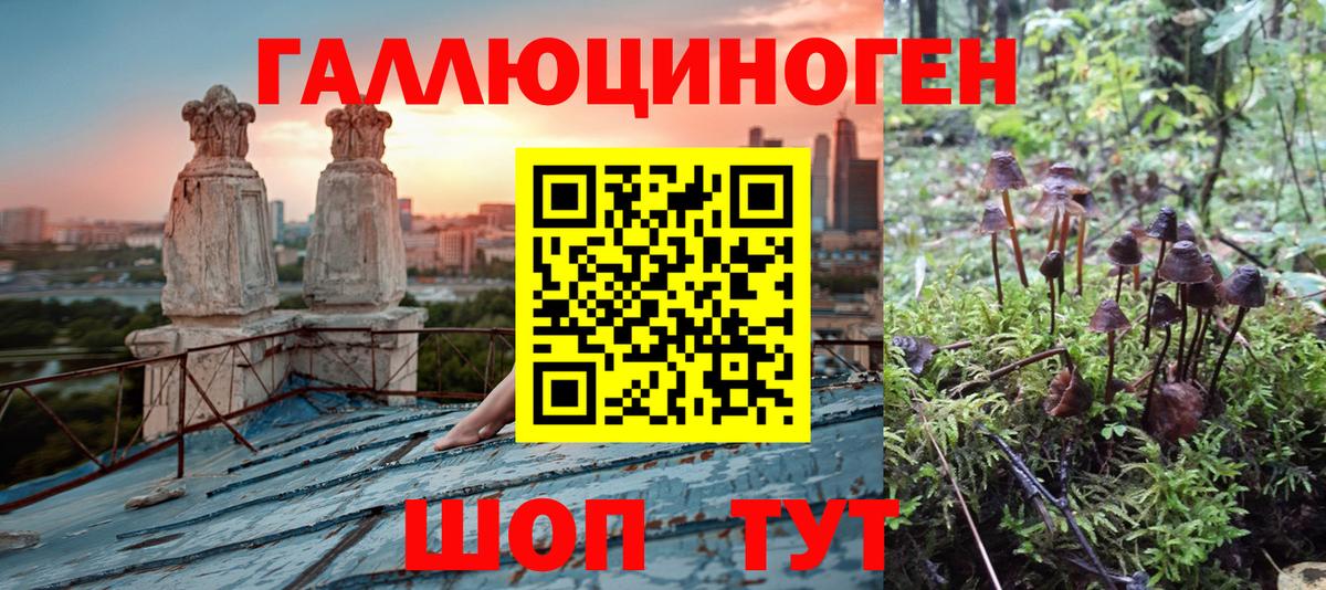 Галлюциногенные грибы прущие грибы  Вход с VPN  Галлюциногенные грибы Psilocybine cubensis  Малгобек 